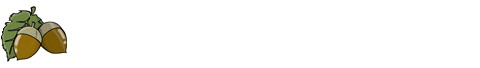 特定非営利活動法人 障がい者ダイバーシティ研究会